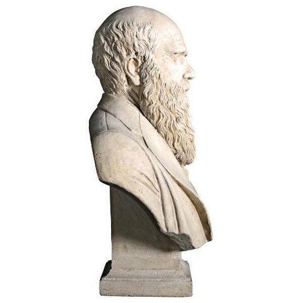 Reproductions Charles Darwin Bust Portrait Sculpture Head Statues Art
